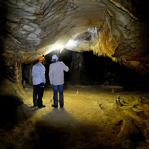 Cueva Palomera