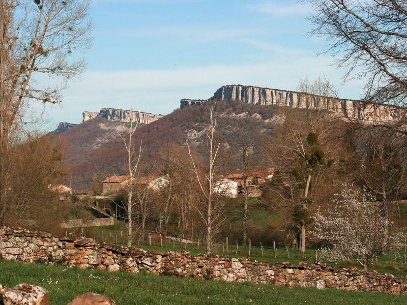 Vista desde el jardín
